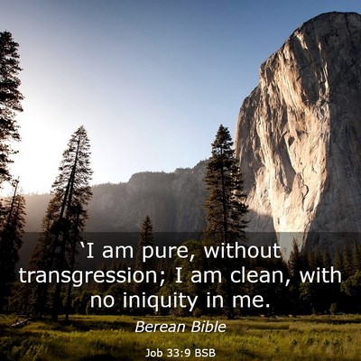 Picture 03 - Job 33:9 BSB - ‘I am pure, without transgression; I am clean, - Bible Verse Picture