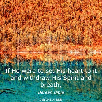 Picture 03 - Job 34:14 BSB - If He were to set His heart to it and withdraw - Bible Verse Picture