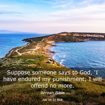 Picture 03 - Job 34:31 BSB - Suppose someone says to God, ‘I have endured my - Bible Verse Picture