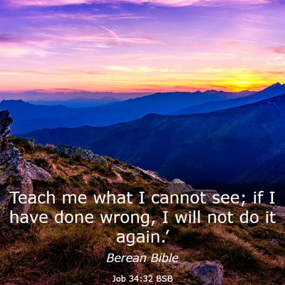 Picture 03 - Job 34:32 BSB - Teach me what I cannot see; if I have done wrong, - Bible Verse Picture