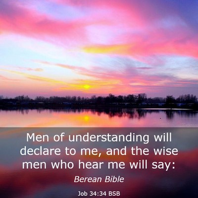 Picture 03 - Job 34:34 BSB - Men of understanding will declare to me, and the - Bible Verse Picture