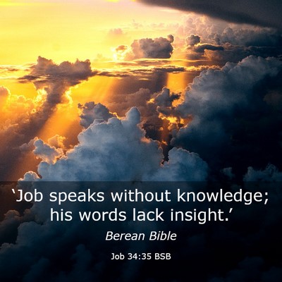 Picture 03 - Job 34:35 BSB - ‘Job speaks without knowledge; his words lack - Bible Verse Picture