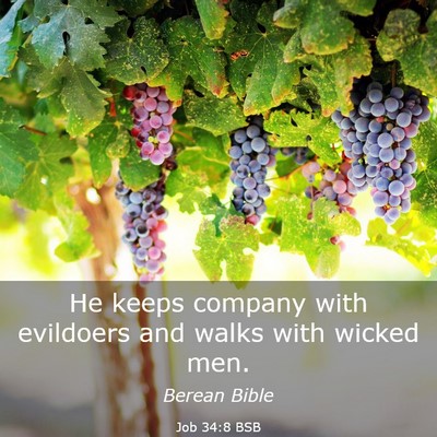 Picture 03 - Job 34:8 BSB - He keeps company with evildoers and walks with - Bible Verse Picture