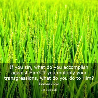 Picture 03 - Job 35:6 BSB - If you sin, what do you accomplish against Him? - Bible Verse Picture