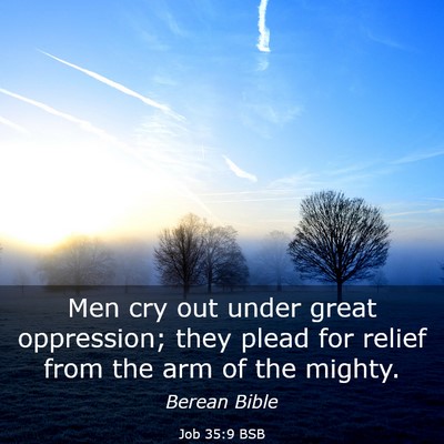 Picture 03 - Job 35:9 BSB - Men cry out under great oppression; they plead - Bible Verse Picture