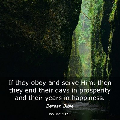 Picture 03 - Job 36:11 BSB - If they obey and serve Him, then they end their - Bible Verse Picture