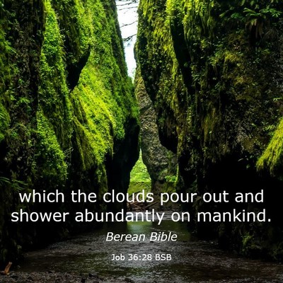 Picture 03 - Job 36:28 BSB - which the clouds pour out and shower abundantly - Bible Verse Picture