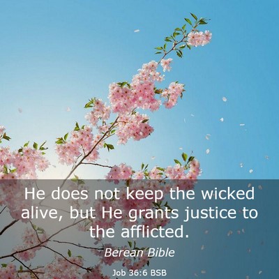 Picture 03 - Job 36:6 BSB - He does not keep the wicked alive, but He grants - Bible Verse Picture