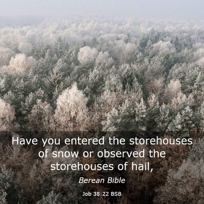 Picture 03 - Job 38:22 BSB - Have you entered the storehouses of snow or - Bible Verse Picture