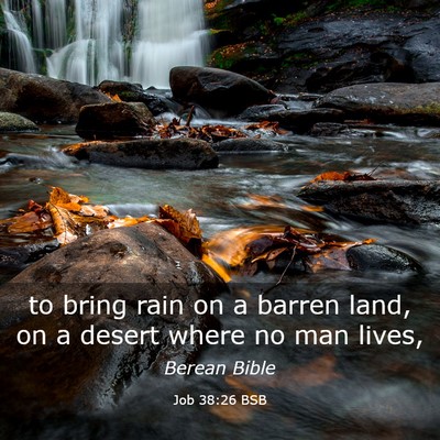 Picture 03 - Job 38:26 BSB - to bring rain on a barren land, on a desert where - Bible Verse Picture