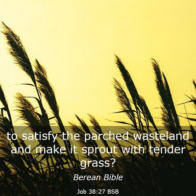 Picture 03 - Job 38:27 BSB - to satisfy the parched wasteland and make it - Bible Verse Picture