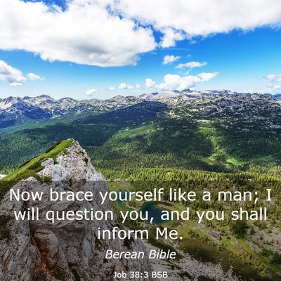 Picture 03 - Job 38:3 BSB - Now brace yourself like a man; I will question - Bible Verse Picture