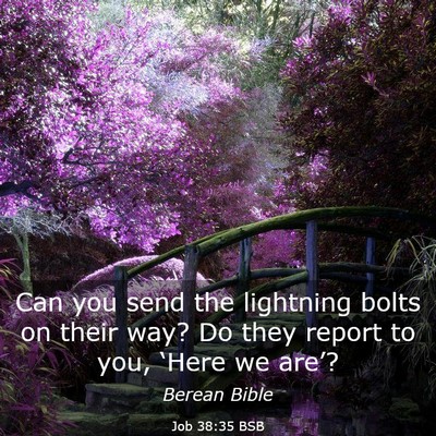 Picture 03 - Job 38:35 BSB - Can you send the lightning bolts on their way? Do - Bible Verse Picture