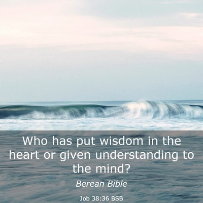 Picture 03 - Job 38:36 BSB - Who has put wisdom in the heart or given - Bible Verse Picture