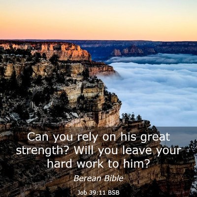 Picture 03 - Job 39:11 BSB - Can you rely on his great strength? Will you - Bible Verse Picture