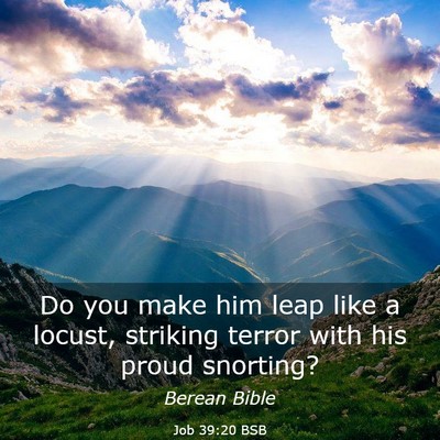 Picture 03 - Job 39:20 BSB - Do you make him leap like a locust, striking - Bible Verse Picture