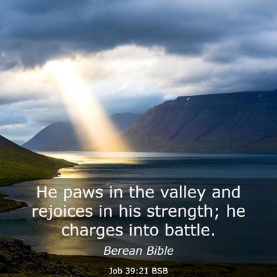 Picture 03 - Job 39:21 BSB - He paws in the valley and rejoices in his - Bible Verse Picture