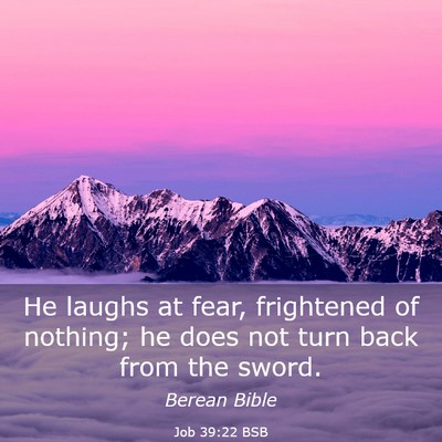 Picture 03 - Job 39:22 BSB - He laughs at fear, frightened of nothing; he does - Bible Verse Picture