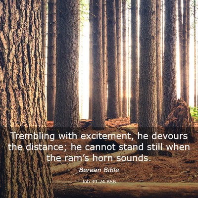 Picture 03 - Job 39:24 BSB - Trembling with excitement, he devours the - Bible Verse Picture
