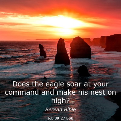 Picture 03 - Job 39:27 BSB - Does the eagle soar at your command and make his - Bible Verse Picture