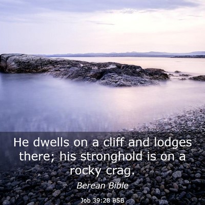 Picture 03 - Job 39:28 BSB - He dwells on a cliff and lodges there; his - Bible Verse Picture