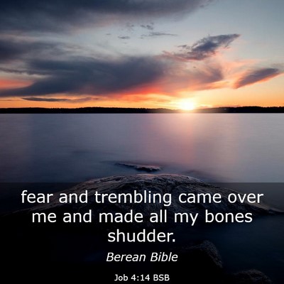 Picture 03 - Job 4:14 BSB - fear and trembling came over me and made all my - Bible Verse Picture
