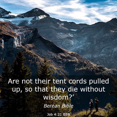 Picture 03 - Job 4:21 BSB - Are not their tent cords pulled up, so that they - Bible Verse Picture