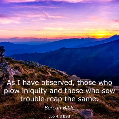 Picture 03 - Job 4:8 BSB - As I have observed, those who plow iniquity and - Bible Verse Picture
