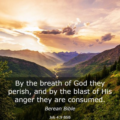 Picture 03 - Job 4:9 BSB - By the breath of God they perish, and by the - Bible Verse Picture