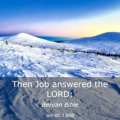 Picture 03 - Job 40:3 BSB - Then Job answered the - Bible Verse Picture