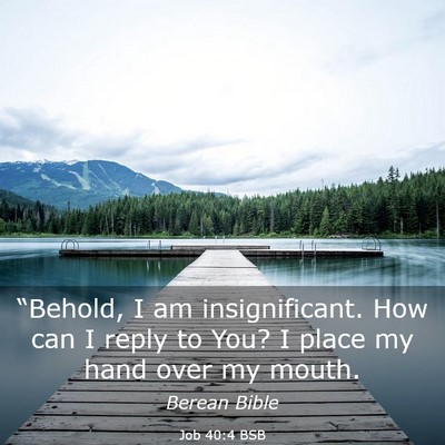 Picture 03 - Job 40:4 BSB - “Behold, I am insignificant. How can I reply to - Bible Verse Picture