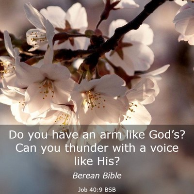 Picture 03 - Job 40:9 BSB - Do you have an arm like God’s? Can you thunder - Bible Verse Picture