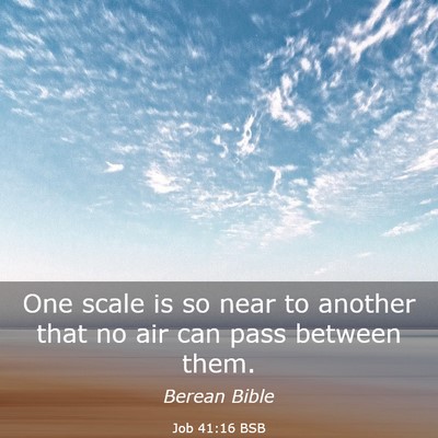 Picture 03 - Job 41:16 BSB - One scale is so near to another that no air can - Bible Verse Picture