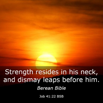 Picture 03 - Job 41:22 BSB - Strength resides in his neck, and dismay leaps - Bible Verse Picture