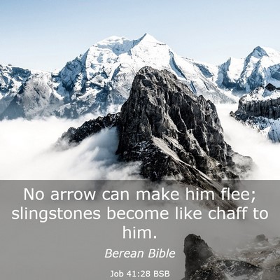 Picture 03 - Job 41:28 BSB - No arrow can make him flee; slingstones become - Bible Verse Picture