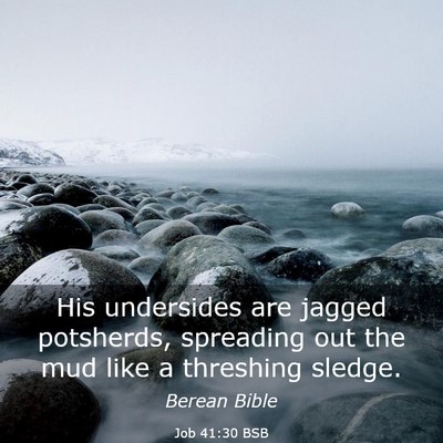 Picture 03 - Job 41:30 BSB - His undersides are jagged potsherds, spreading - Bible Verse Picture