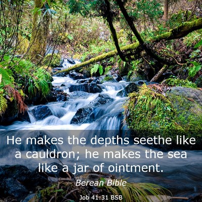 Picture 03 - Job 41:31 BSB - He makes the depths seethe like a cauldron; he - Bible Verse Picture