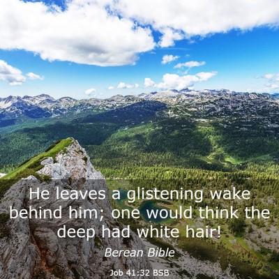 Picture 03 - Job 41:32 BSB - He leaves a glistening wake behind him; one would - Bible Verse Picture