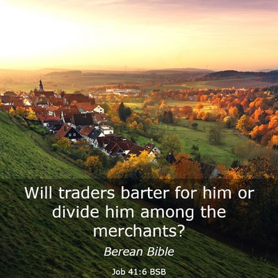 Picture 03 - Job 41:6 BSB - Will traders barter for him or divide him among - Bible Verse Picture