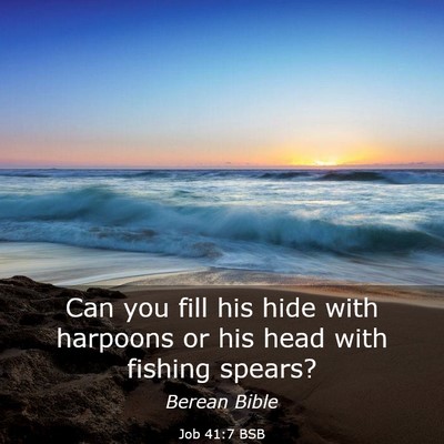 Picture 03 - Job 41:7 BSB - Can you fill his hide with harpoons or his head - Bible Verse Picture