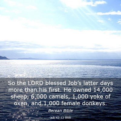 Picture 03 - Job 42:12 BSB - So the LORD blessed Job’s latter days more than - Bible Verse Picture
