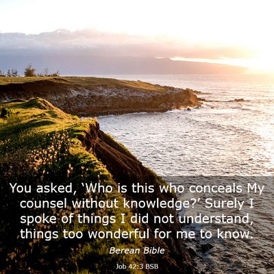 Picture 03 - Job 42:3 BSB - You asked, ‘Who is this who conceals My counsel - Bible Verse Picture