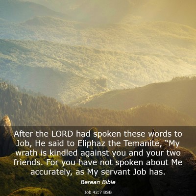 Picture 03 - Job 42:7 BSB - After the LORD had spoken these words to Job, He - Bible Verse Picture