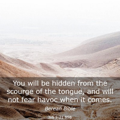 Picture 03 - Job 5:21 BSB - You will be hidden from the scourge of the - Bible Verse Picture