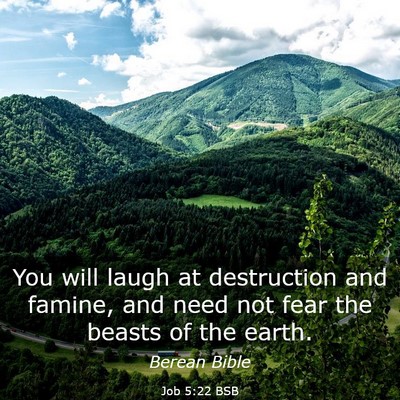 Picture 03 - Job 5:22 BSB - You will laugh at destruction and famine, and - Bible Verse Picture