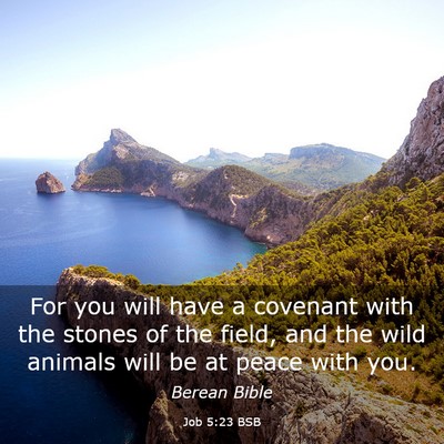 Picture 03 - Job 5:23 BSB - For you will have a covenant with the stones of - Bible Verse Picture