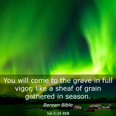 Picture 03 - Job 5:26 BSB - You will come to the grave in full vigor, like a - Bible Verse Picture