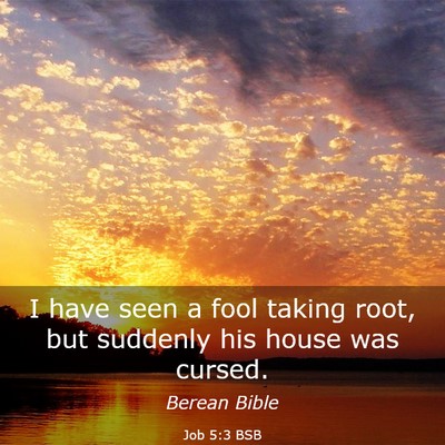 Picture 03 - Job 5:3 BSB - I have seen a fool taking root, but suddenly his - Bible Verse Picture