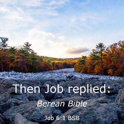 Picture 03 - Job 6:1 BSB - Then Job - Bible Verse Picture