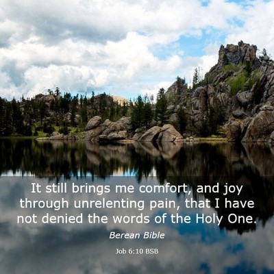 Picture 03 - Job 6:10 BSB - It still brings me comfort, and joy through - Bible Verse Picture